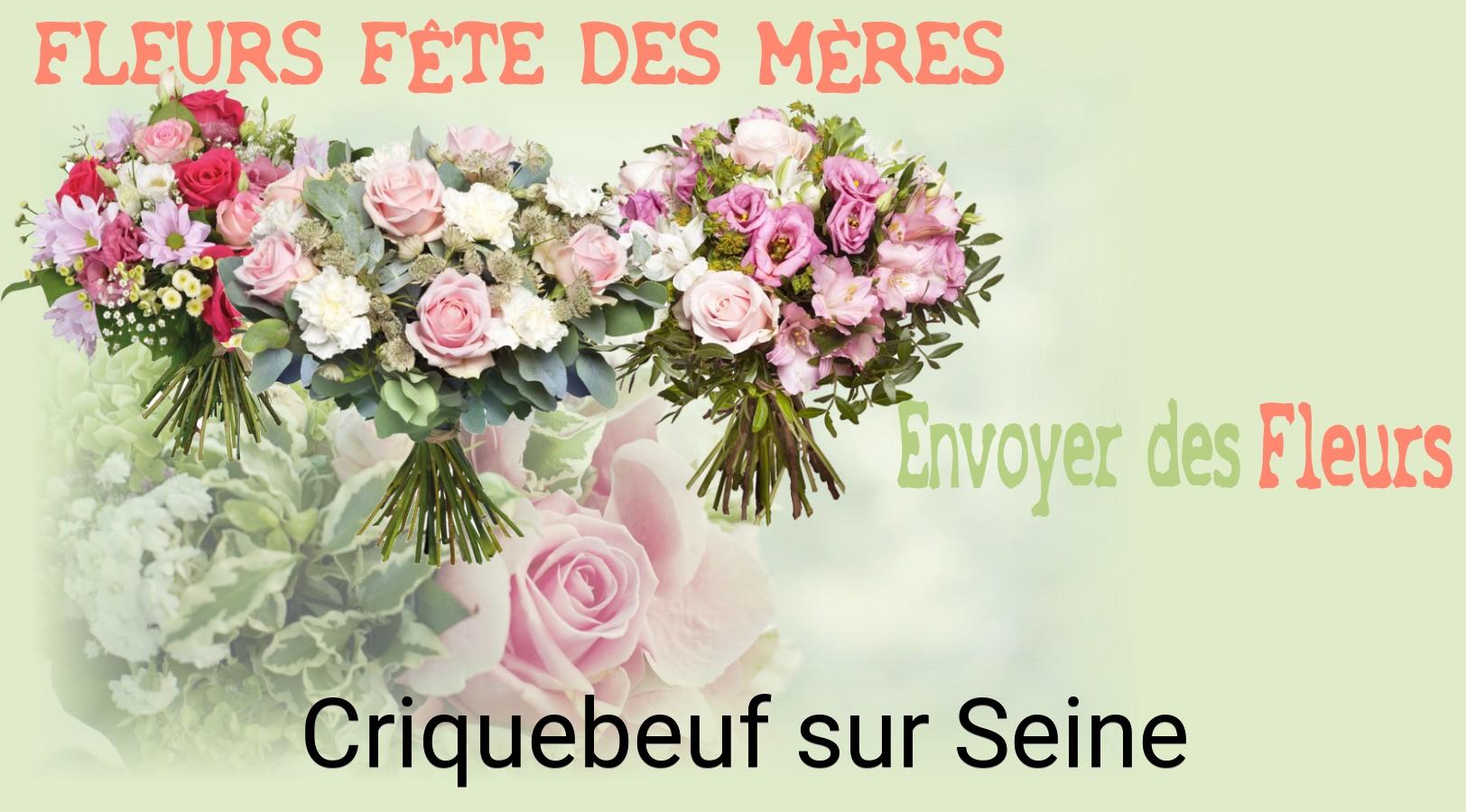 Bouquet de Fête des Mères livré à Criquebeuf-sur-Seine